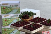 梦见野兔高速赋能产业升级：一条“杨梅路”的致富密码